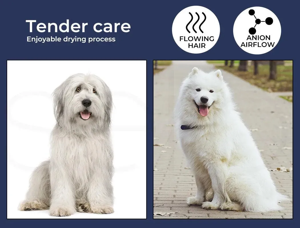 Pawz Pet Dryers