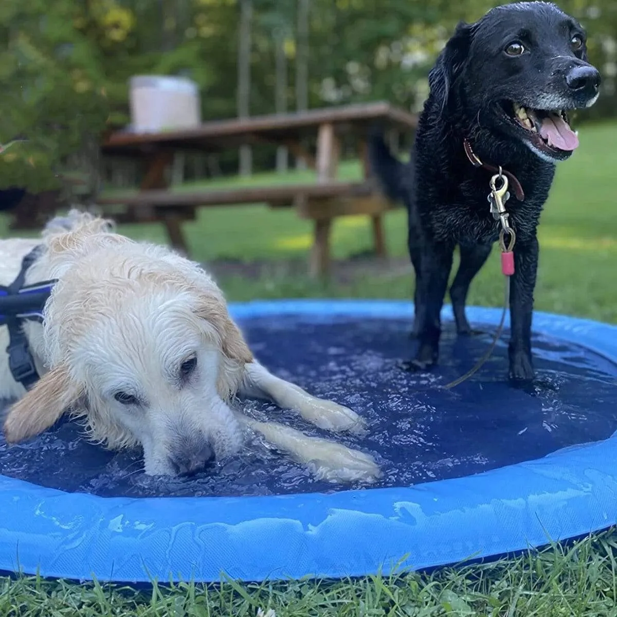 Pet Summer Sprinkler Pad