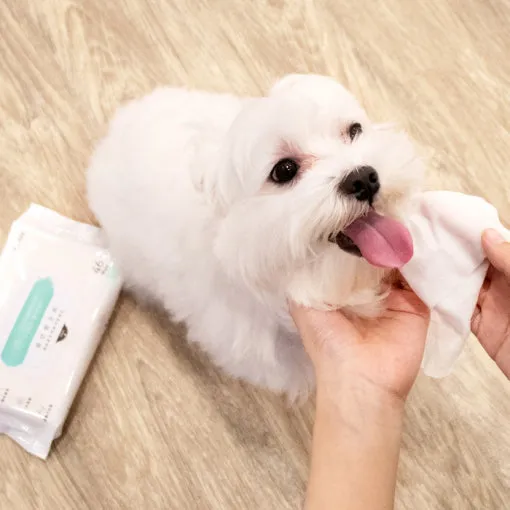 Wet Wipes